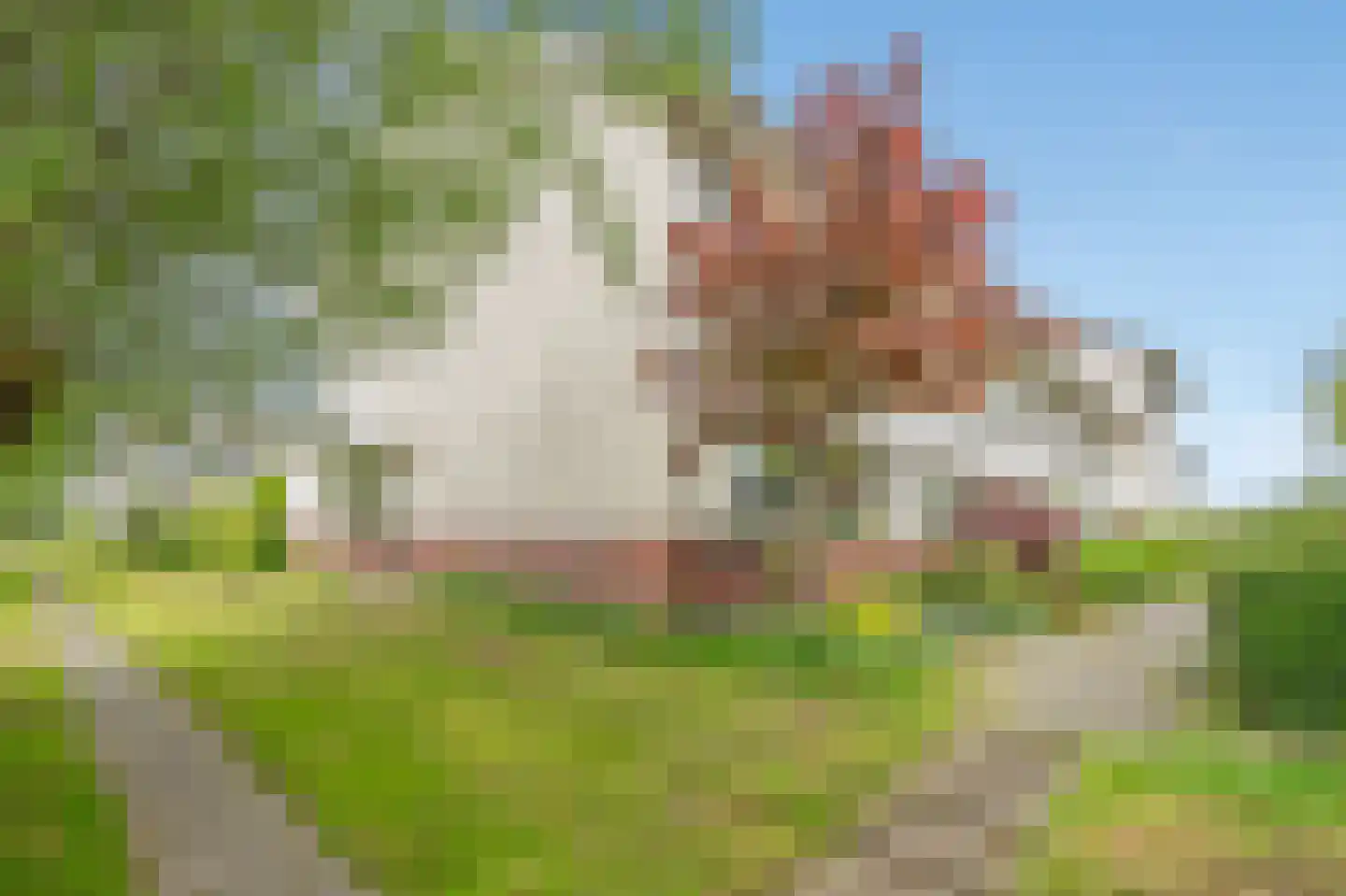 Roeibaan 38 Den Haag thumbnail 43