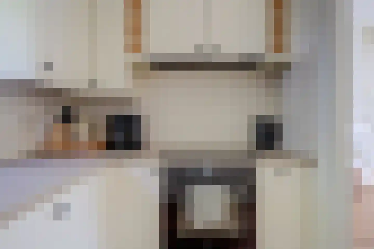 Roek 11 Hoogvliet Rotterdam thumbnail 12