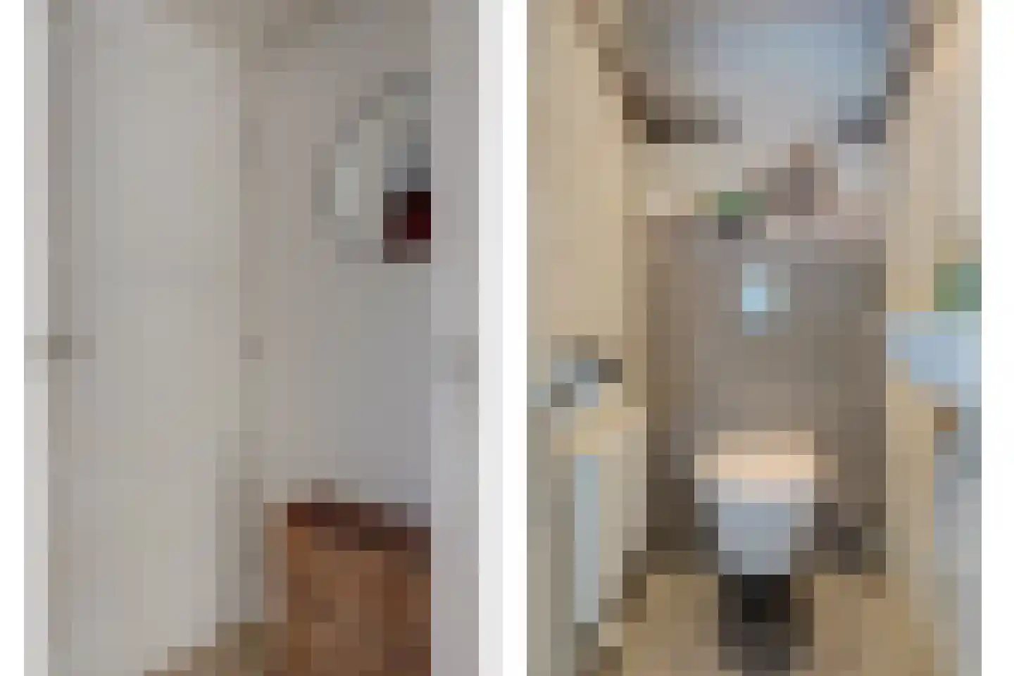 Roek 11 Hoogvliet Rotterdam thumbnail 14