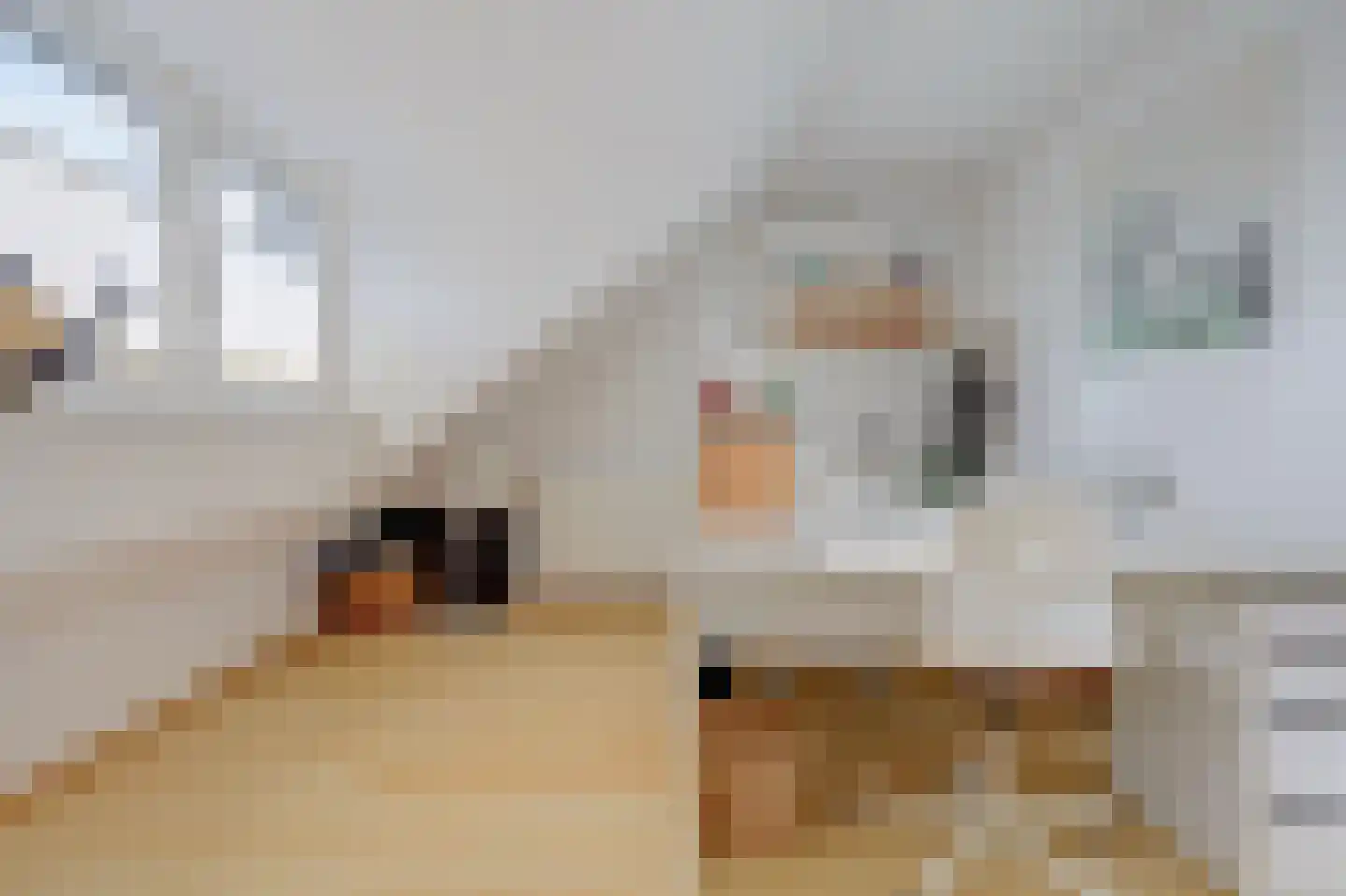 Roek 11 Hoogvliet Rotterdam thumbnail 16