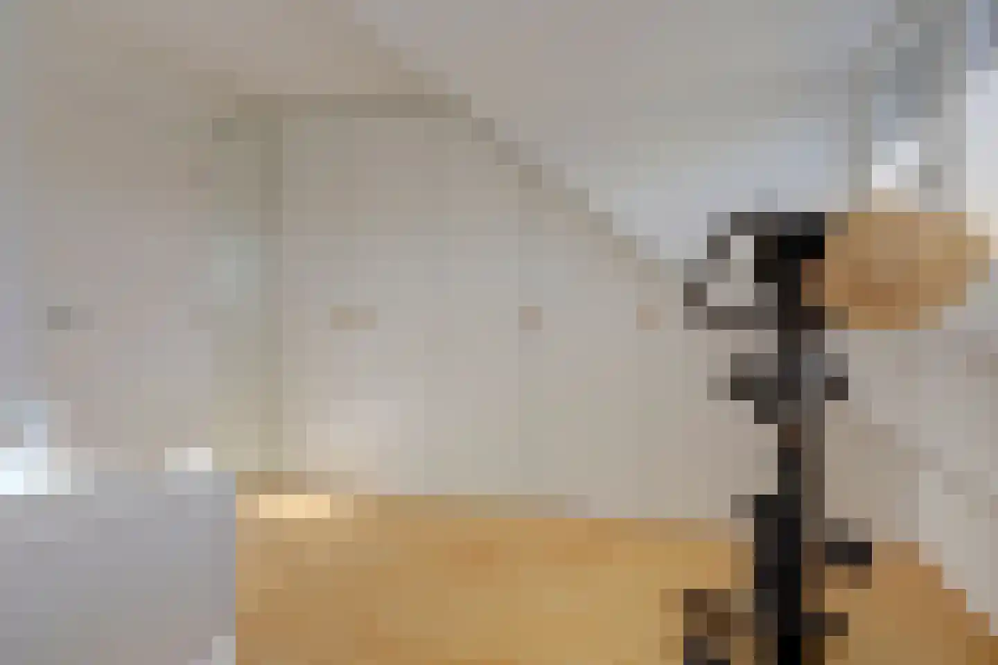 Roek 11 Hoogvliet Rotterdam thumbnail 19