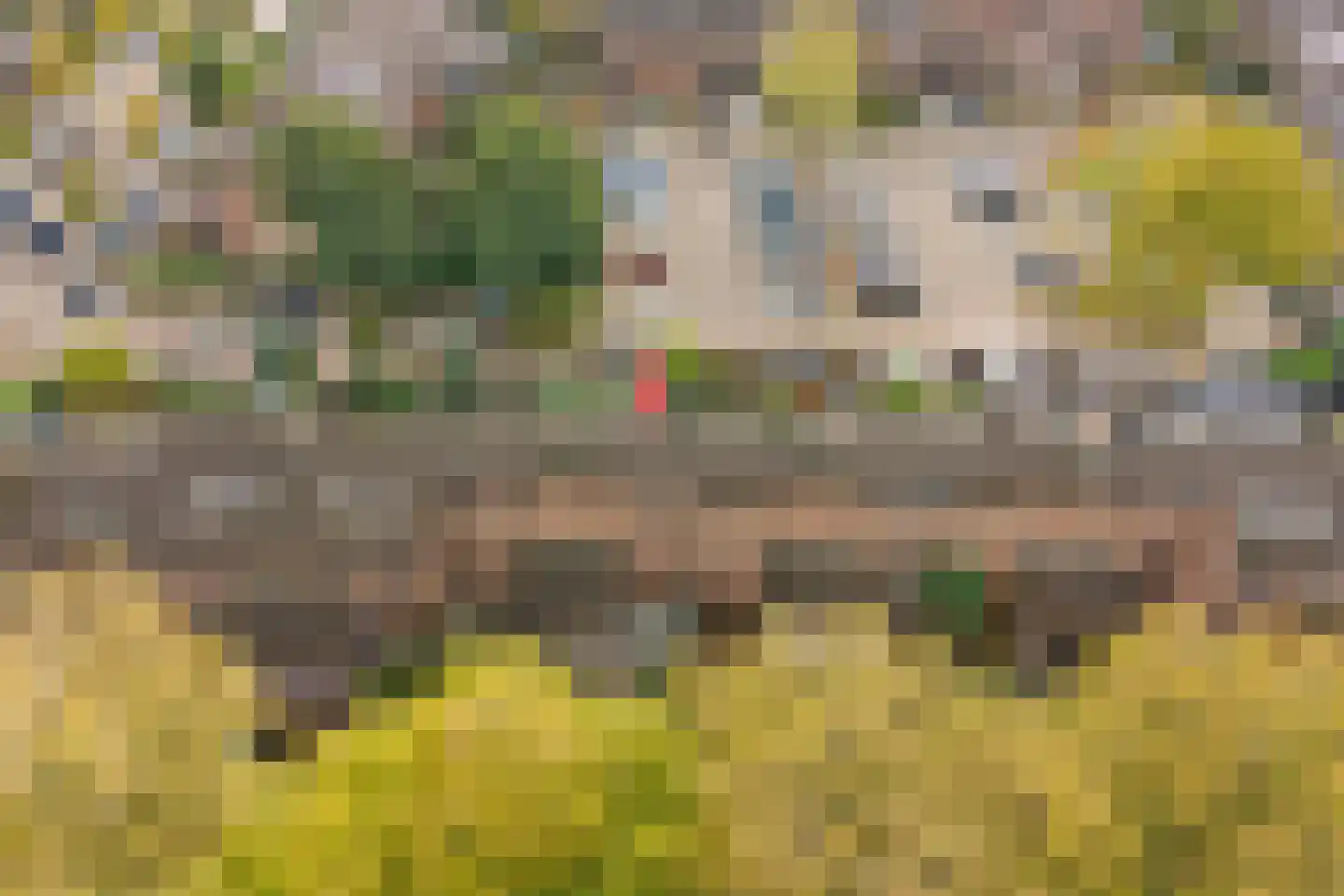 Roek 11 Hoogvliet Rotterdam thumbnail 39