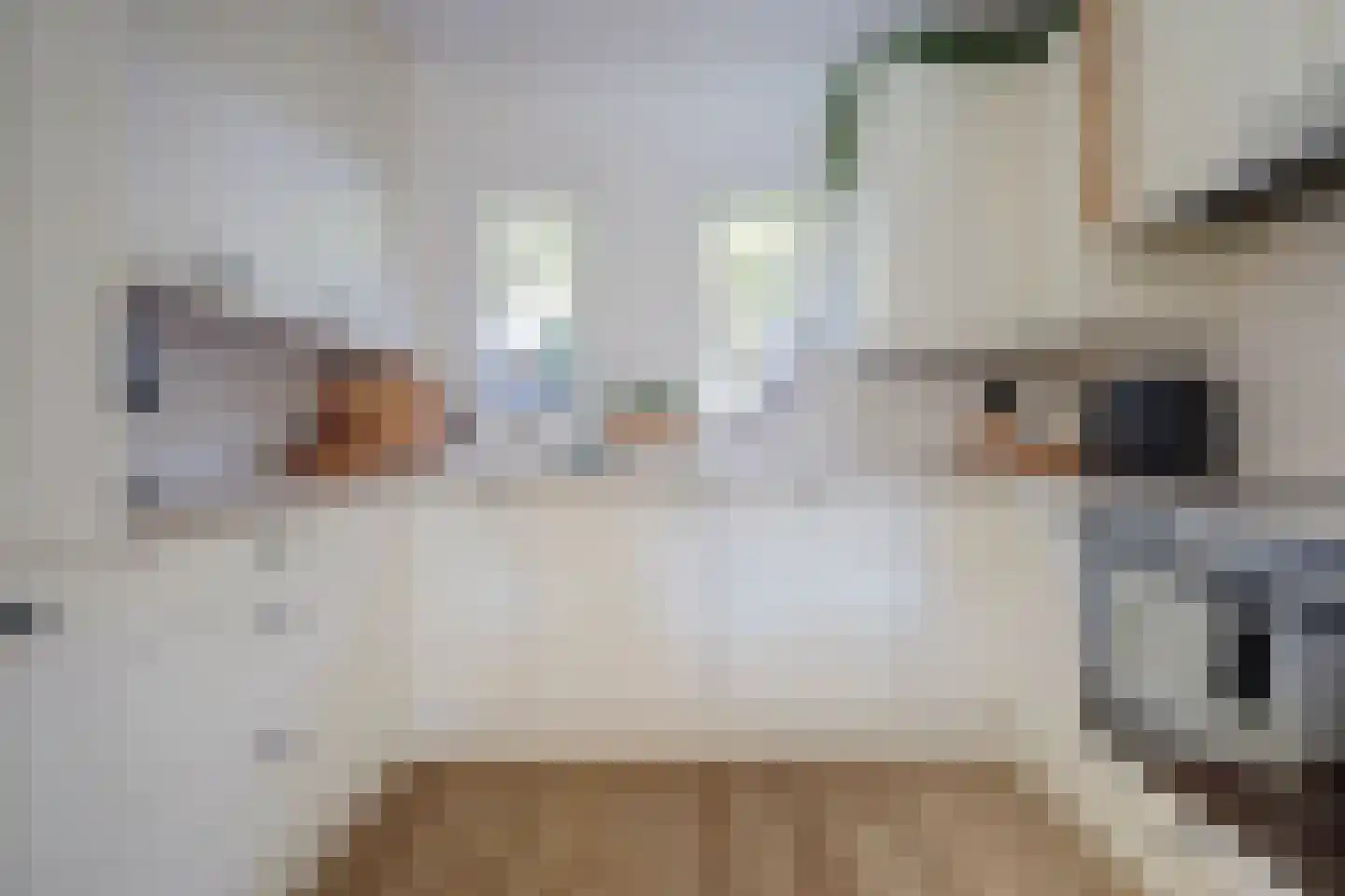 Roek 11 Hoogvliet Rotterdam thumbnail 8