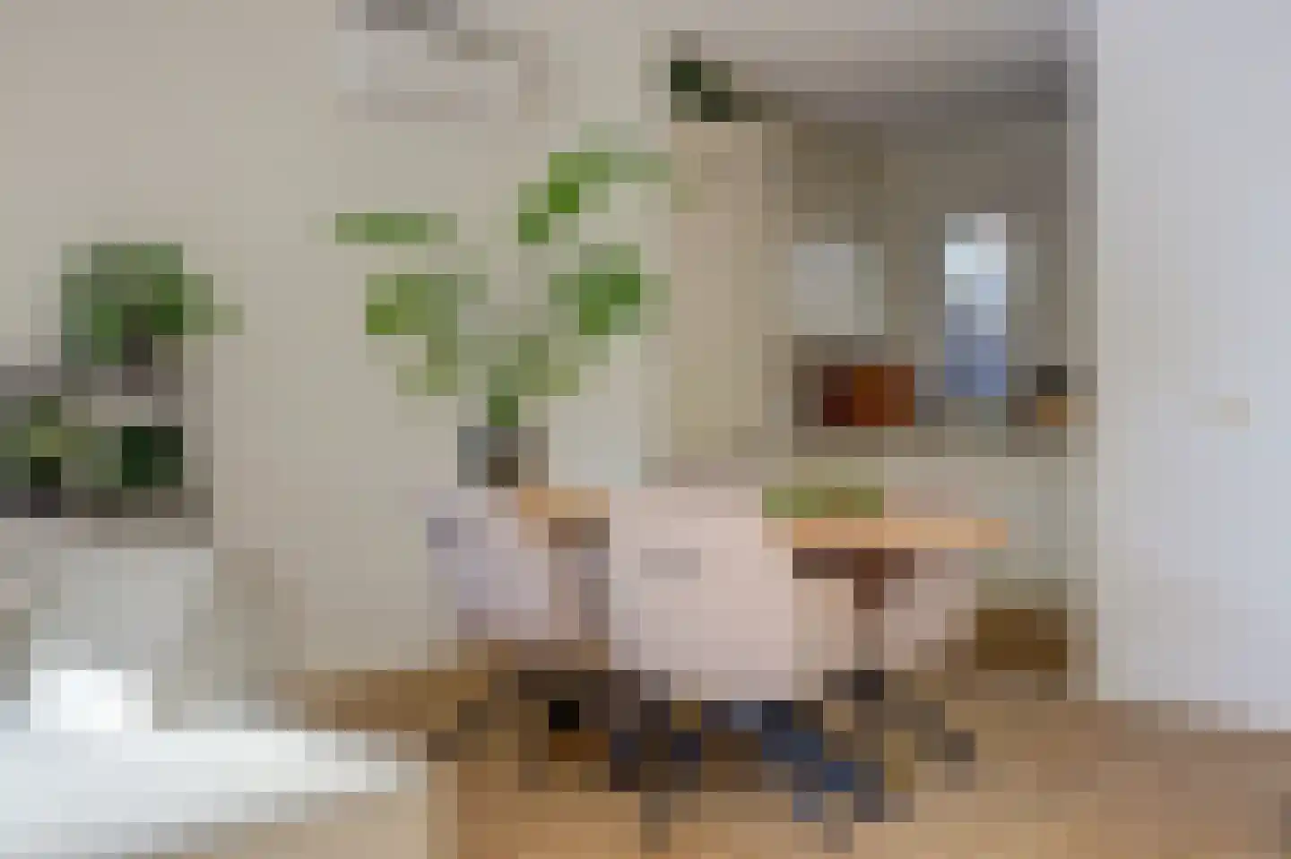 Roek 11 Hoogvliet Rotterdam thumbnail 9