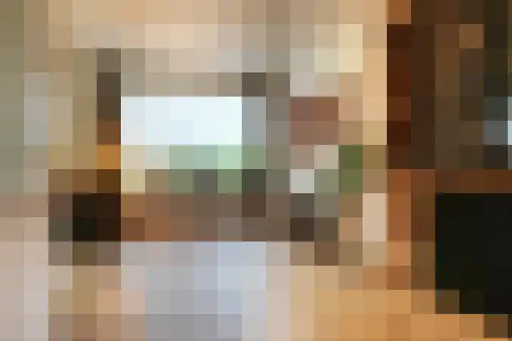 Roek 11 Sprang-Capelle thumbnail 10