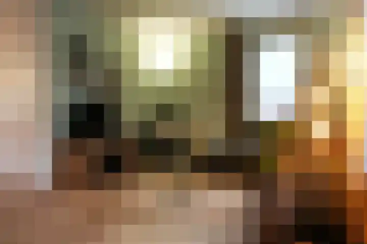 Roek 11 Sprang-Capelle thumbnail 11