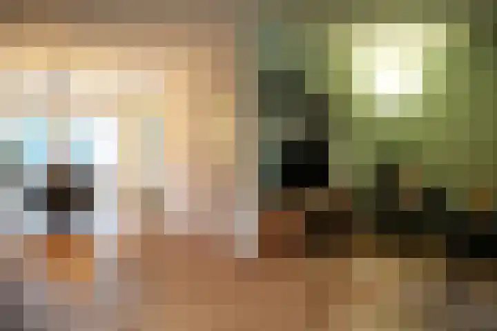 Roek 11 Sprang-Capelle thumbnail 14