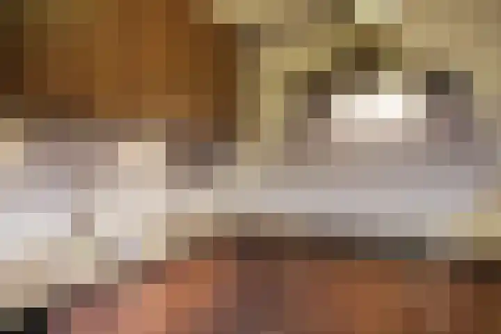 Roek 11 Sprang-Capelle thumbnail 24