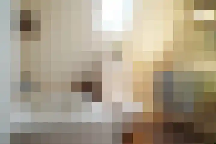 Roek 11 Sprang-Capelle thumbnail 40