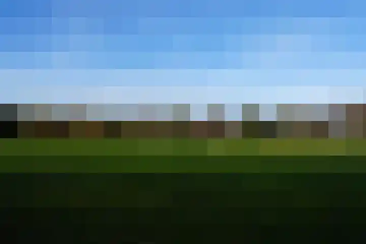 Roek 11 Sprang-Capelle thumbnail 64