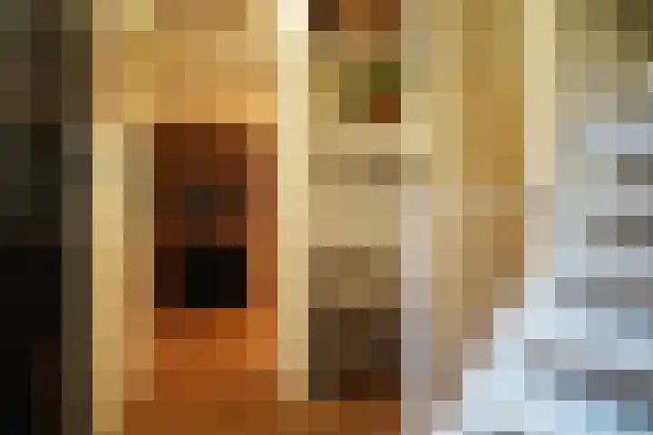 Roek 11 Sprang-Capelle thumbnail 7