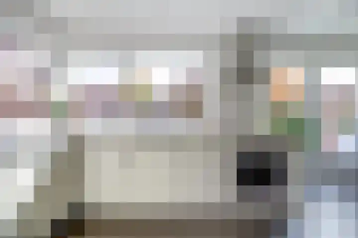 Roek 17 Sprang-Capelle thumbnail 15