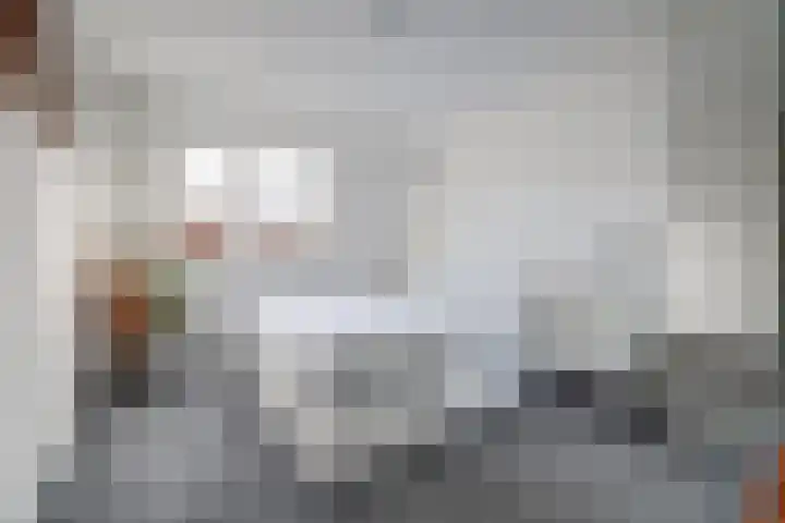 Roek 17 Sprang-Capelle thumbnail 24