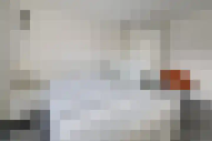 Roek 17 Sprang-Capelle thumbnail 25