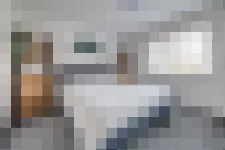 Roek 17 Sprang-Capelle thumbnail 26