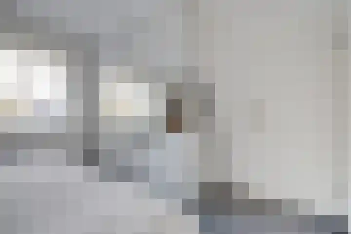 Roek 17 Sprang-Capelle thumbnail 27