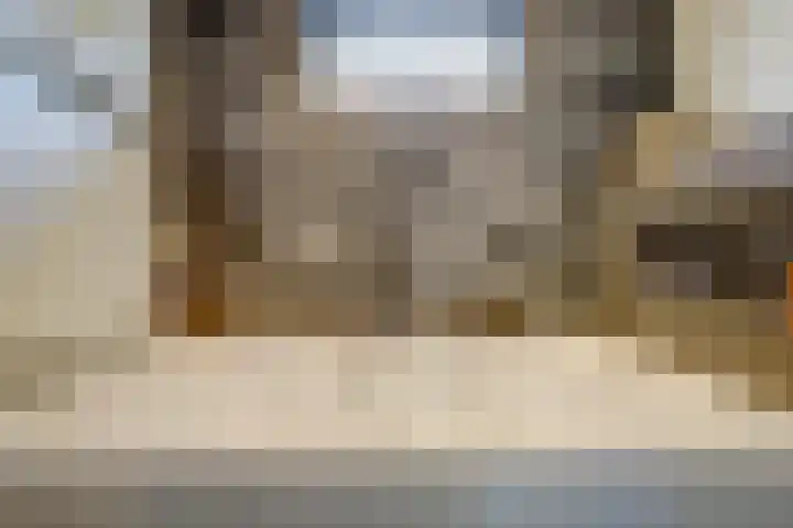Roek 17 Sprang-Capelle thumbnail 29