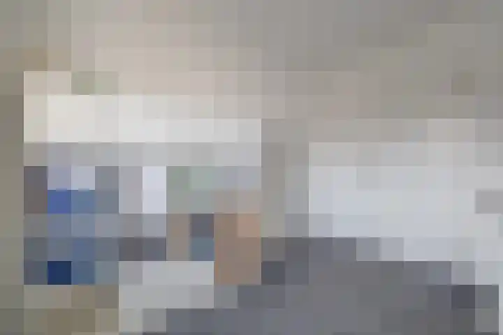 Roek 17 Sprang-Capelle thumbnail 32