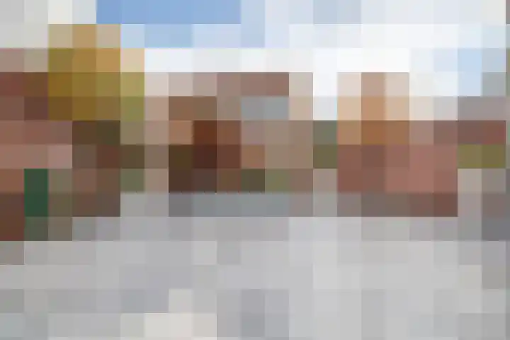 Roek 17 Sprang-Capelle thumbnail 38