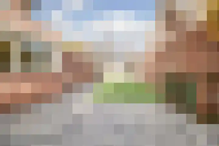 Roek 17 Sprang-Capelle thumbnail 42