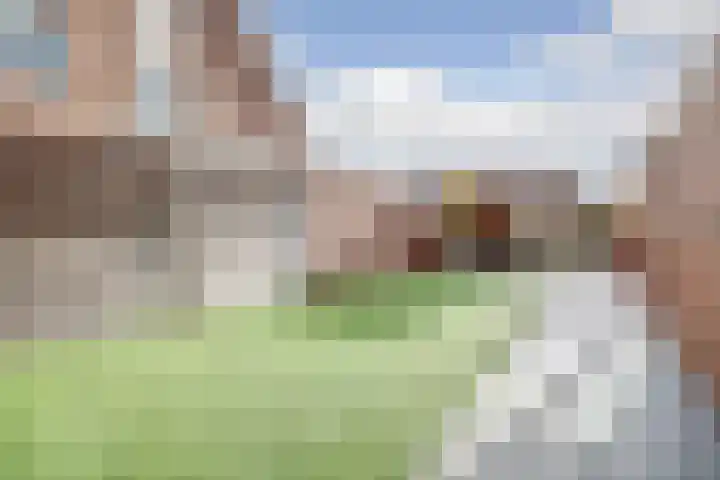 Roek 17 Sprang-Capelle thumbnail 43
