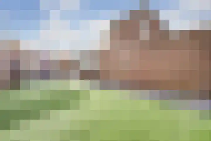 Roek 17 Sprang-Capelle thumbnail 44