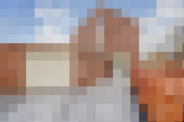 Roek 17 Sprang-Capelle thumbnail 46