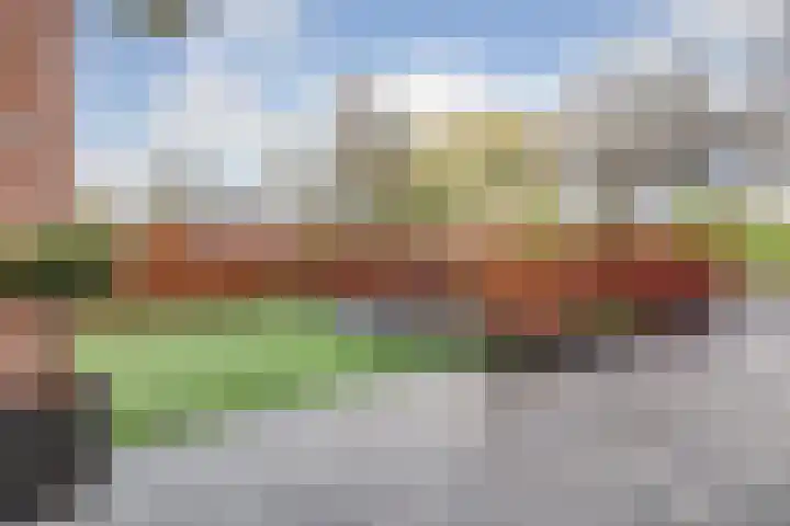 Roek 17 Sprang-Capelle thumbnail 47