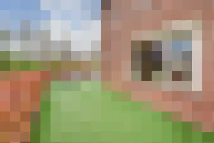 Roek 17 Sprang-Capelle thumbnail 48