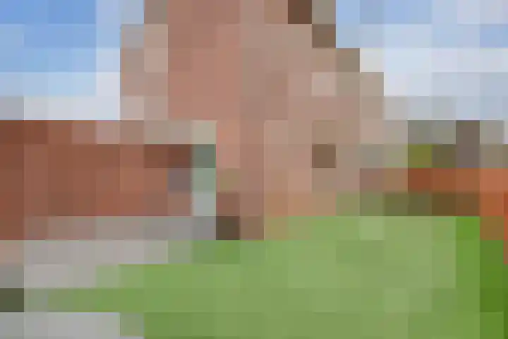 Roek 17 Sprang-Capelle thumbnail 49