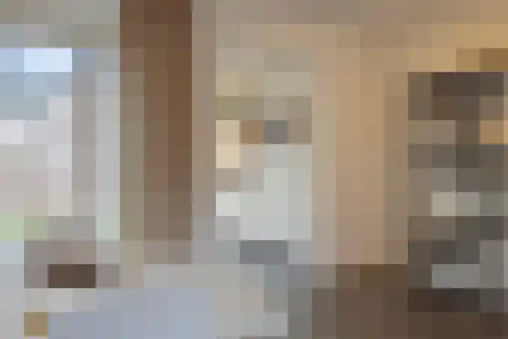 Roek 20 Veldhoven thumbnail 11
