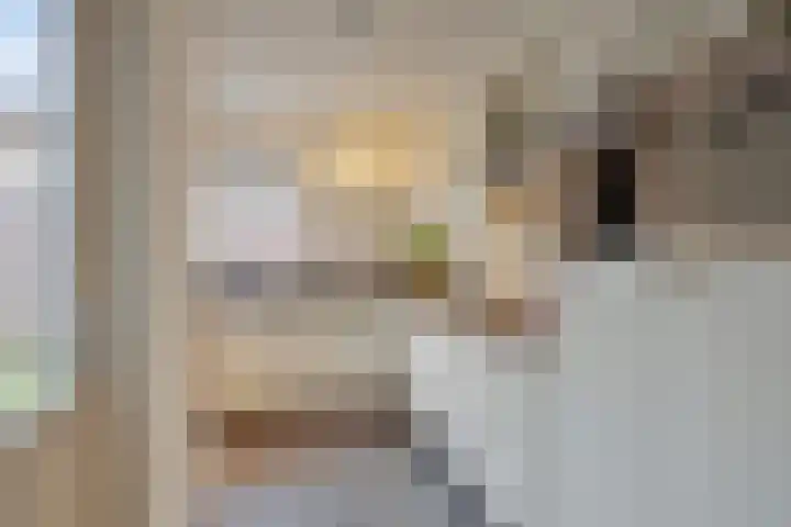 Roek 20 Veldhoven thumbnail 12