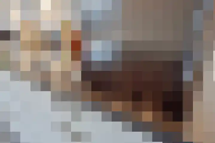 Roek 20 Veldhoven thumbnail 13