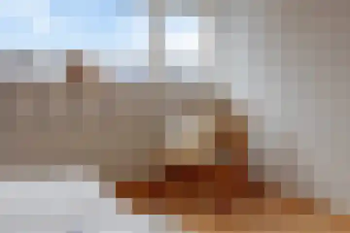 Roek 20 Veldhoven thumbnail 20