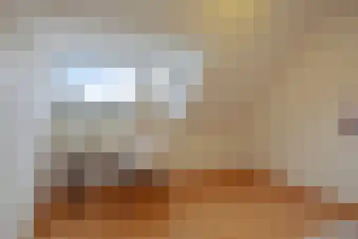 Roek 20 Veldhoven thumbnail 22