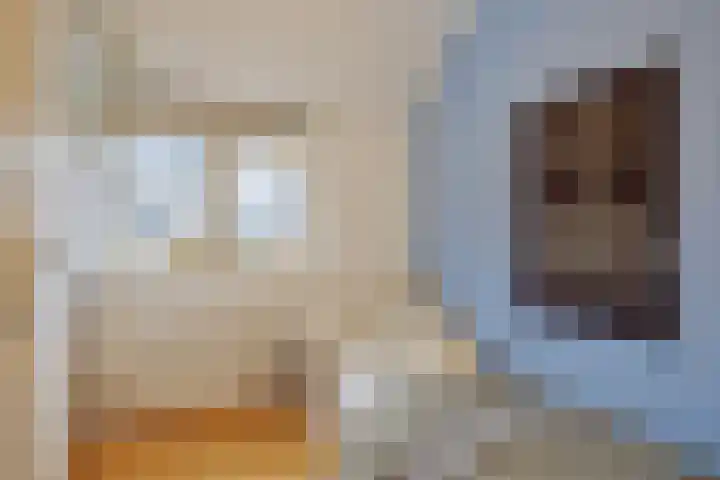 Roek 20 Veldhoven thumbnail 24