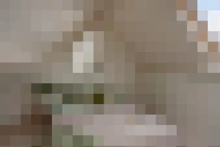 Roek 20 Veldhoven thumbnail 29