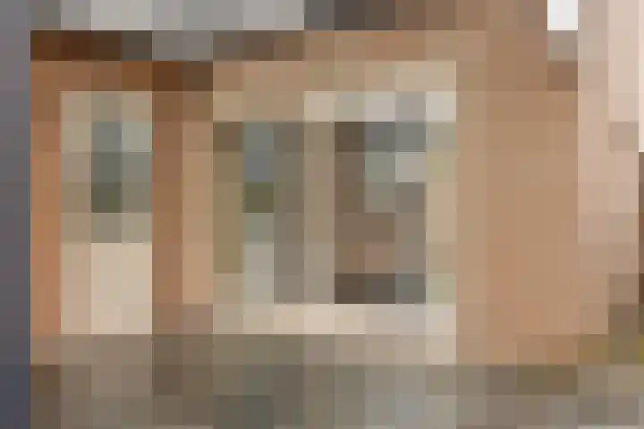 Roek 20 Veldhoven thumbnail 31