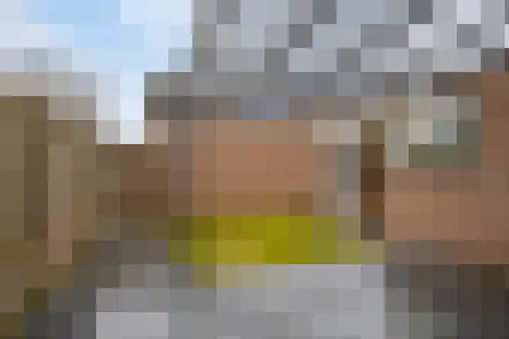 Roek 20 Veldhoven thumbnail 32