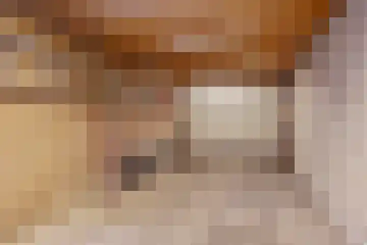 Roek 20 Veldhoven thumbnail 33