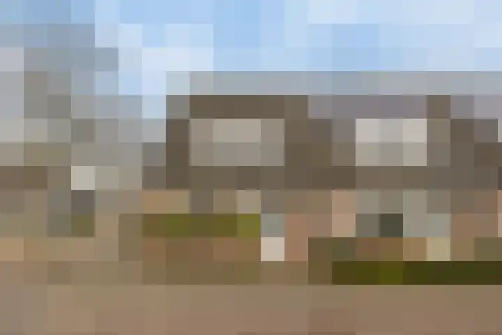 Roek 20 Veldhoven thumbnail 34