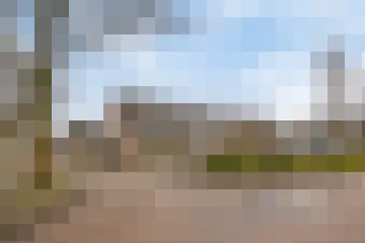 Roek 20 Veldhoven thumbnail 35