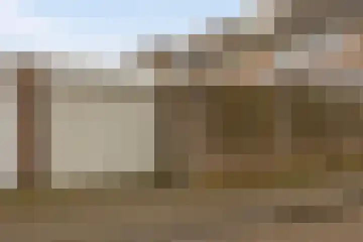 Roek 20 Veldhoven thumbnail 37