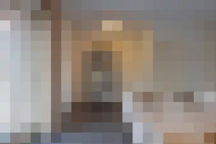 Roek 20 Veldhoven thumbnail 9