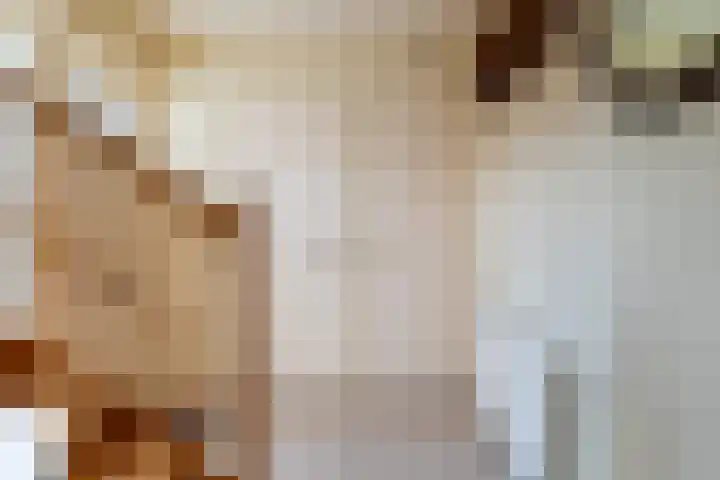 Roek 23 Sprang-Capelle thumbnail 10