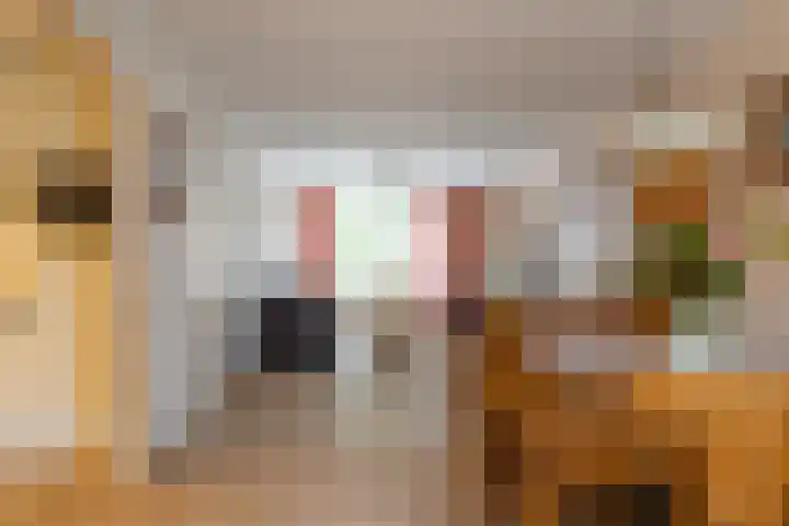 Roek 23 Sprang-Capelle thumbnail 15