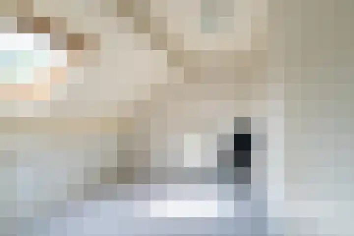Roek 23 Sprang-Capelle thumbnail 35