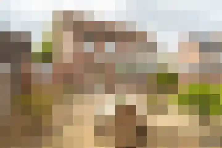 Roek 23 Sprang-Capelle thumbnail 5