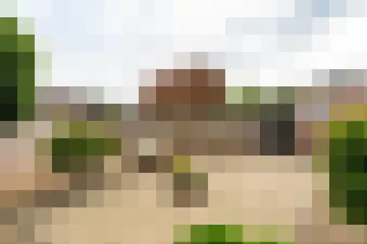 Roek 23 Sprang-Capelle thumbnail 7