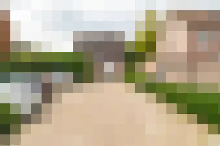 Roek 23 Sprang-Capelle thumbnail 9